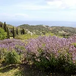 Κάμπινγκ Elbadoc Village