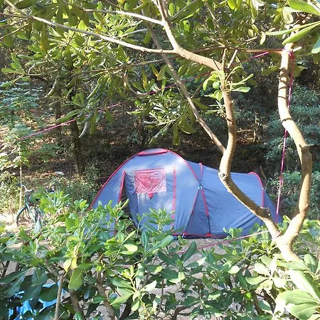 Campingplatz Elbadoc Village Cavo