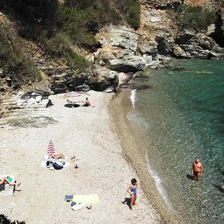 Elbadoc Village مكان تخييم *