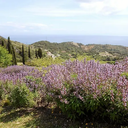 مكان تخييم Elbadoc Village