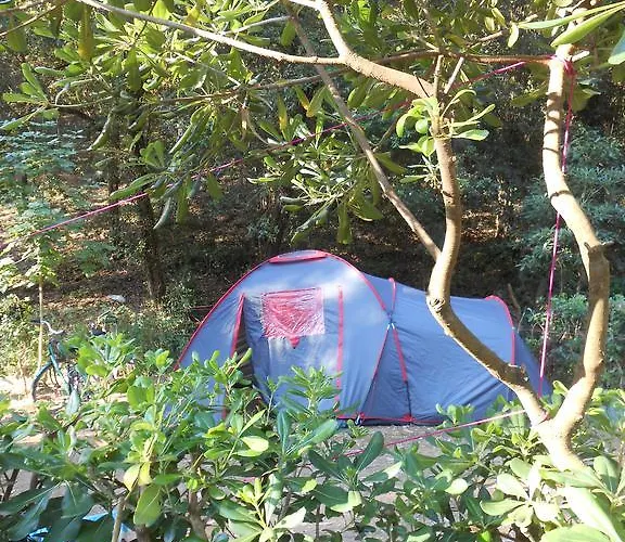 Camping Elbadoc Village Cavo