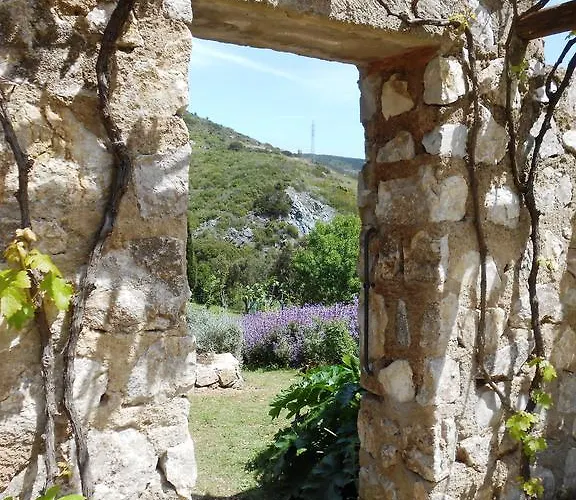 Elbadoc Village Camping