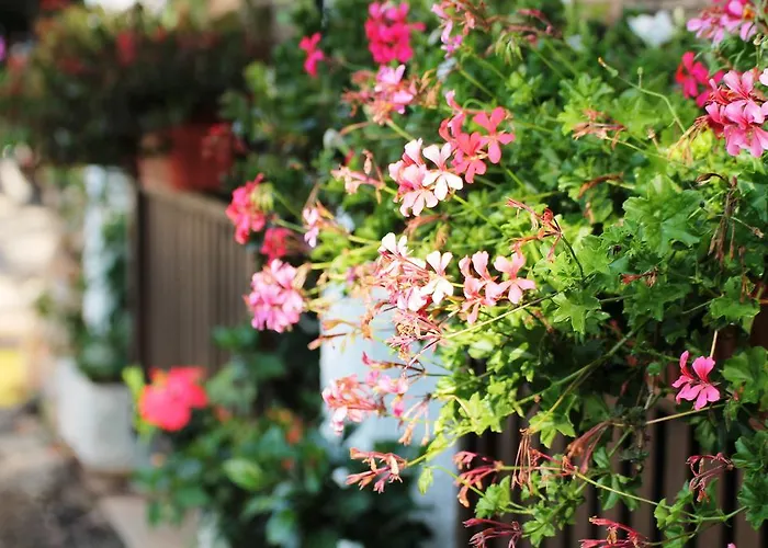 Elbadoc Village Campeggio Cavo