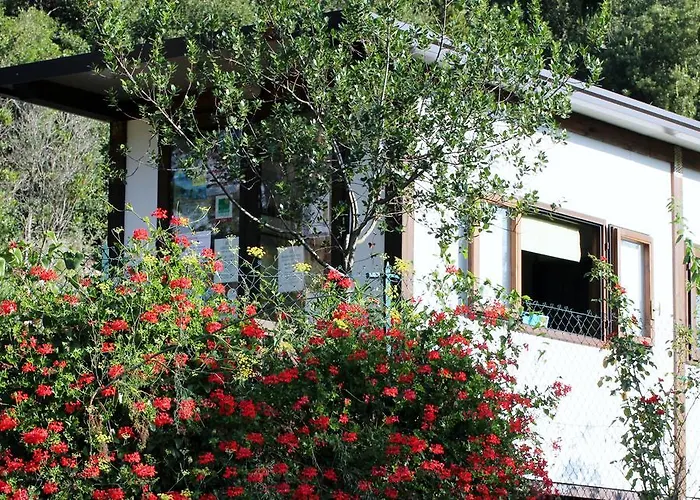 Elbadoc Village Kemping *