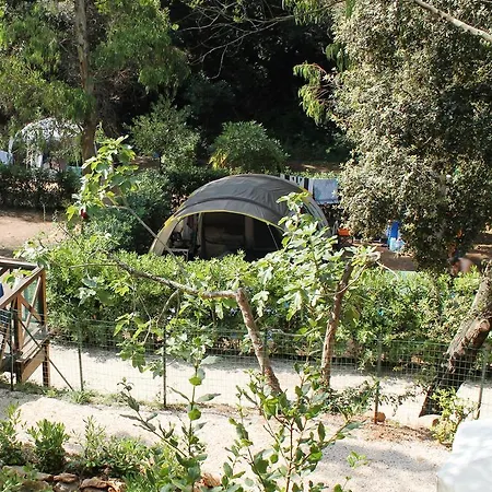 Elbadoc Village Camping