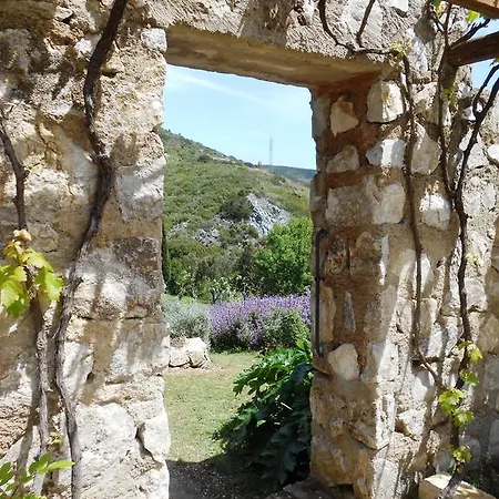 Elbadoc Village Camping