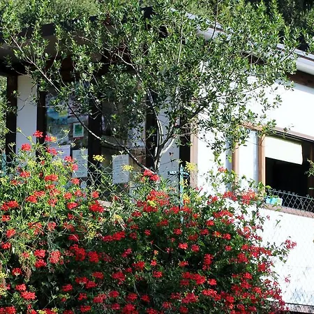 Elbadoc Village Camping *