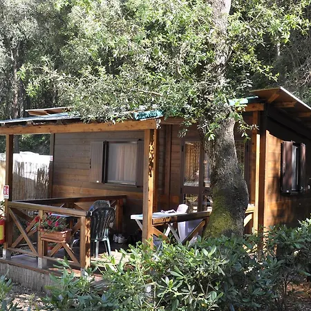 Elbadoc Village Camping *