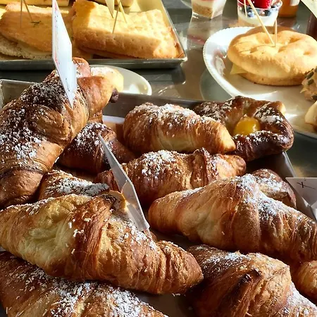 Campingplads Elbadoc Village