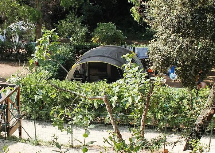 Elbadoc Village Campsite