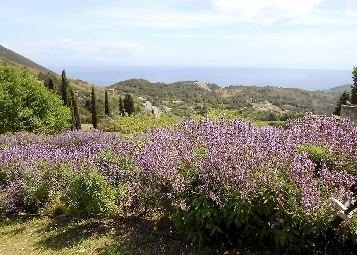 キャンプ場 Elbadoc Village