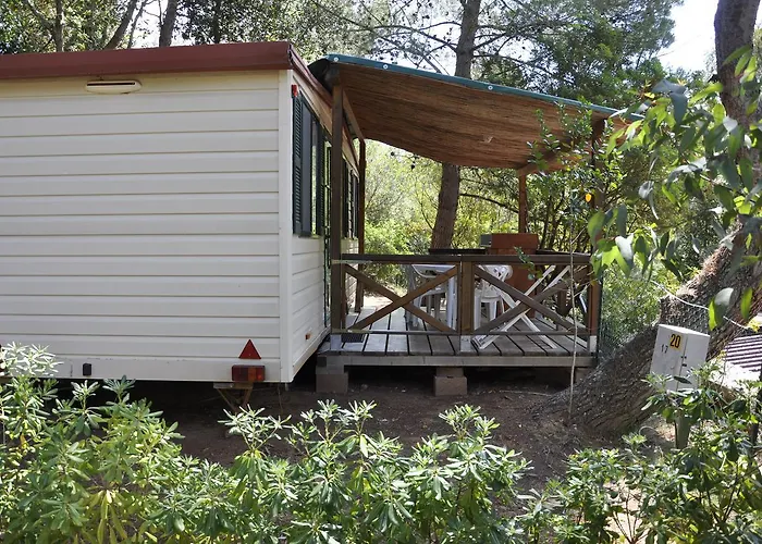 Elbadoc Village Campsite